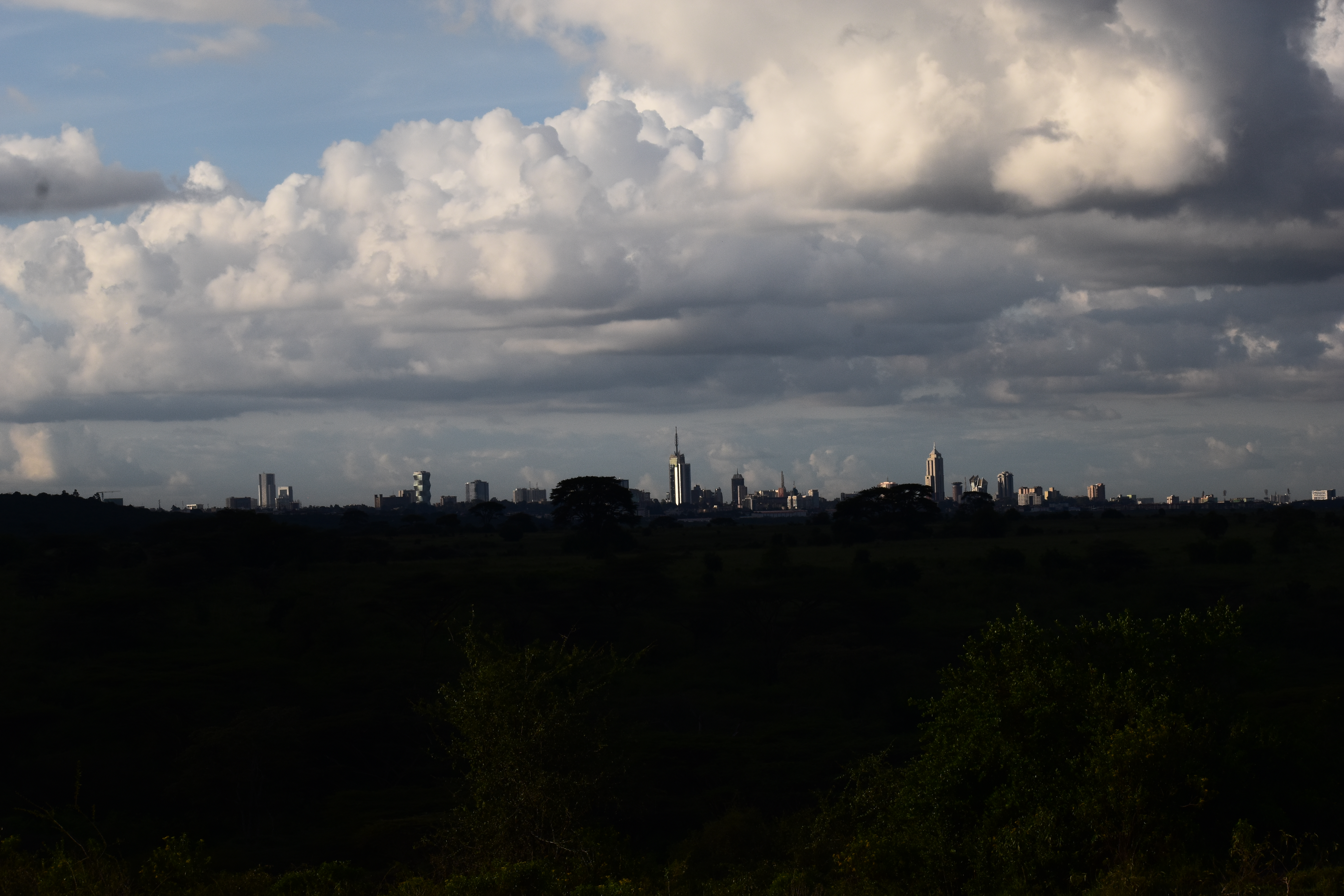 Maasai Mara safari landscape at golden hour