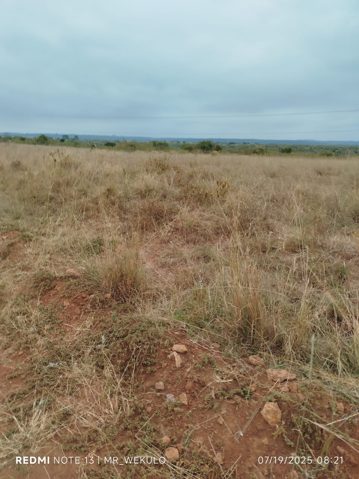 Maasai Mara National Reserve wildlife