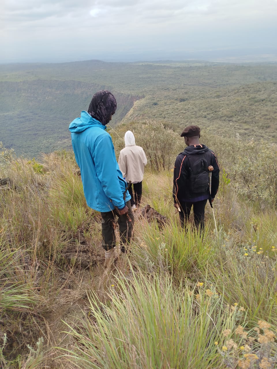 Amboseli elephants with Mount Kilimanjaro