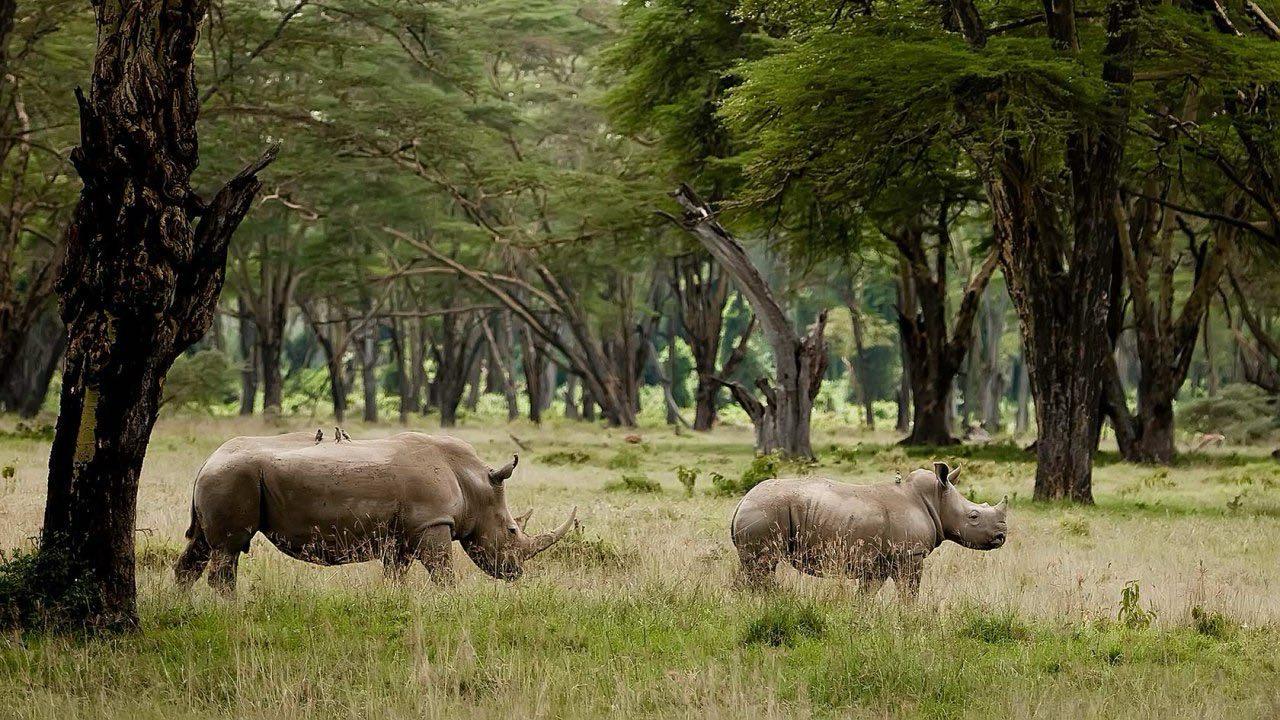 Kenya natural beauty