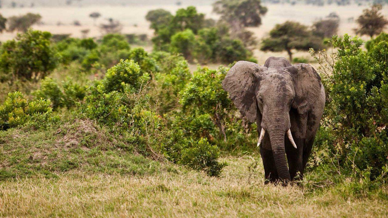 Kenya adventure landscape